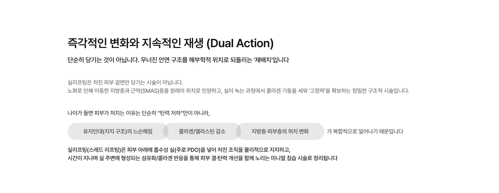 실리프팅 01